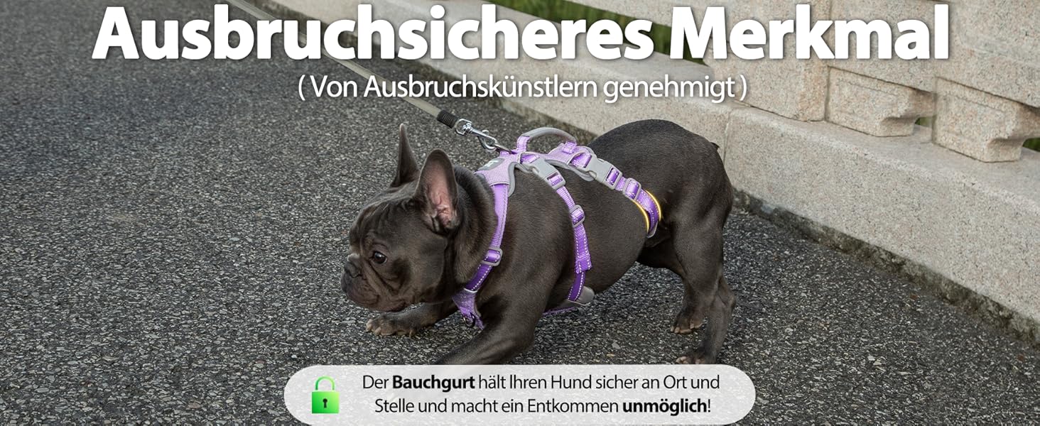 Шлейка для собак Huntboo, безпечна та надійна, з відбиваючими елементами та м'якою ручкою, регульована жилетка для маленьких собак, для прогулянок та тренувань (S, Лавандово-фіолетовий, упаковка з 1)