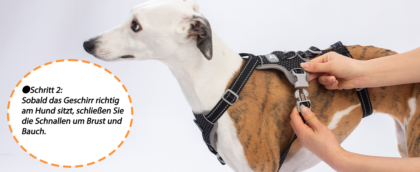 Шлейка для собак Huntboo, анти-витік, для панічних собак, світловідбиваюча, регульована, легка, чорна, розмір S, 1 шт.