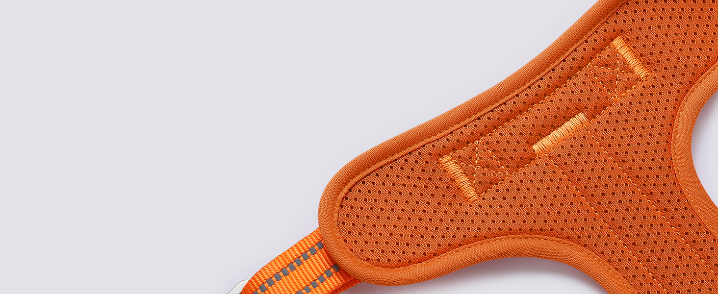 Нашийник для собак Rabbitgoo середнього розміру, анти-тяга, регульований з ручкою, міцний, тактичний, з металевими пряжками, для прогулянок (M, Оранжевий)