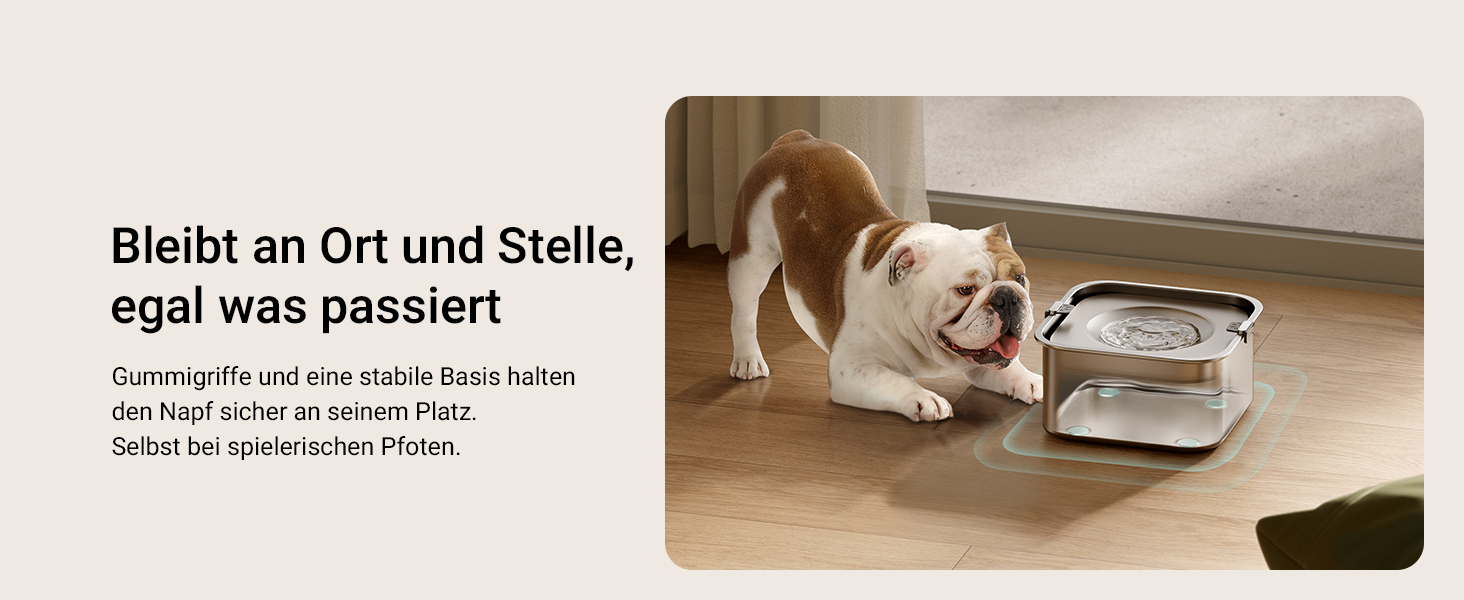 Миска для собак DownyPaws 3L з нержавіючої сталі, анти-розбризкування, чорна, для дому та вулиці