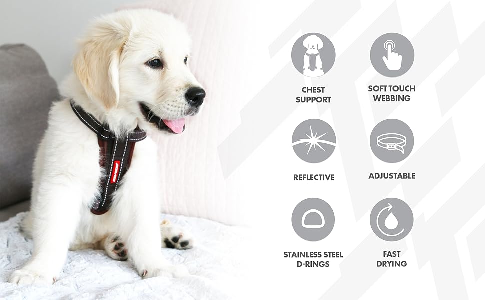 Шлейка для собак EzyDog Chest Plate – безпечна шлейка з адаптером для безпечного ременя – світловідбиваюча, м'яка шлейка для собак середніх та великих порід (Double Extra Small, Corduroy)