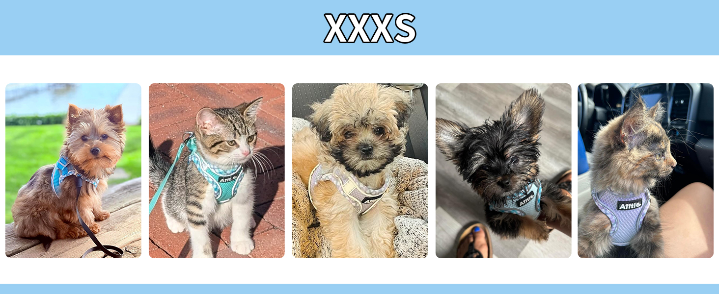 Нашийник та поводок для собак: комплект для прогулянок, нашийник для навчання цуценят, м'який дихаючий аксесуар для домашніх тварин, світловідбиваючі смуги, для дуже маленьких собак та котів, блакитно-рожевий, XXXS