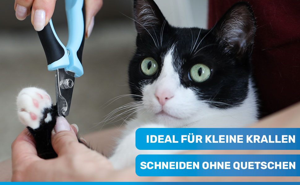 Ножиці для догляду за кігтями маленьких собак, котів та дрібних тварин BluePet | Кусачки для кігтів з пилочкою | Кусачки для кігтів блакитні | Догляд за кігтями