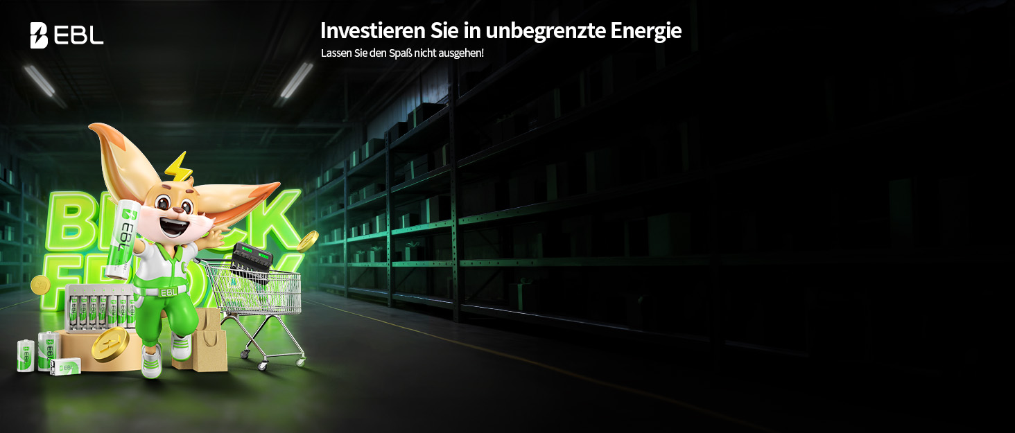 Зарядний пристрій EBL для акумуляторів AA AAA C D NI-MH, Type-C, LCD дисплей, швидка зарядка