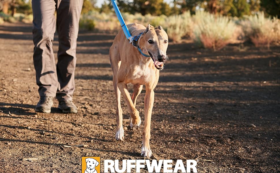 Нашийник для собак RUFFWEAR Web Reaction, синій, 28-36 см