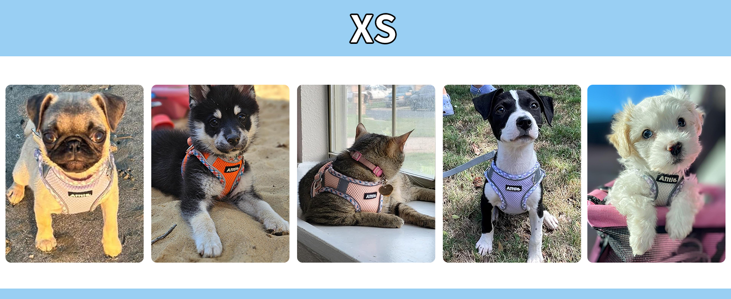 Нашийник та поводок для собак: комплект для прогулянок, нашийник для навчання цуценят, м'який дихаючий аксесуар для домашніх тварин, світловідбиваючі смуги, для дуже маленьких собак та котів, блакитно-рожевий, XXXS