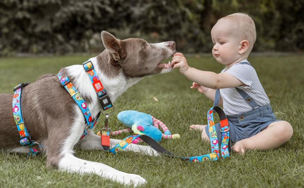 Нашийник для собак Max & Molly H-подібної форми, Ultrabequemes Geschirr Hund, Neopren, середній, Little Monsters/M, з підкладкою, безпечний, ультралегкий, комфортний для вашого вірного друга