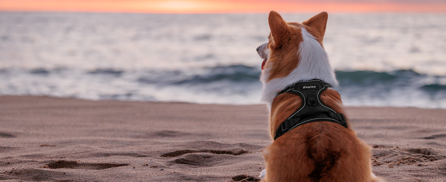 Нагрудник для собак великих порід Eagloo, чорний, розмір L, анти-тяга, з відбиваючими смугами, регульований