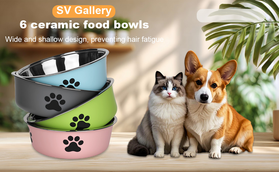 Набір з 4 мисок для собак з нержавіючої сталі з неслизьким силіконовим дном, 900 мл, для корму та води (зелений, сірий, блакитний, рожевий)