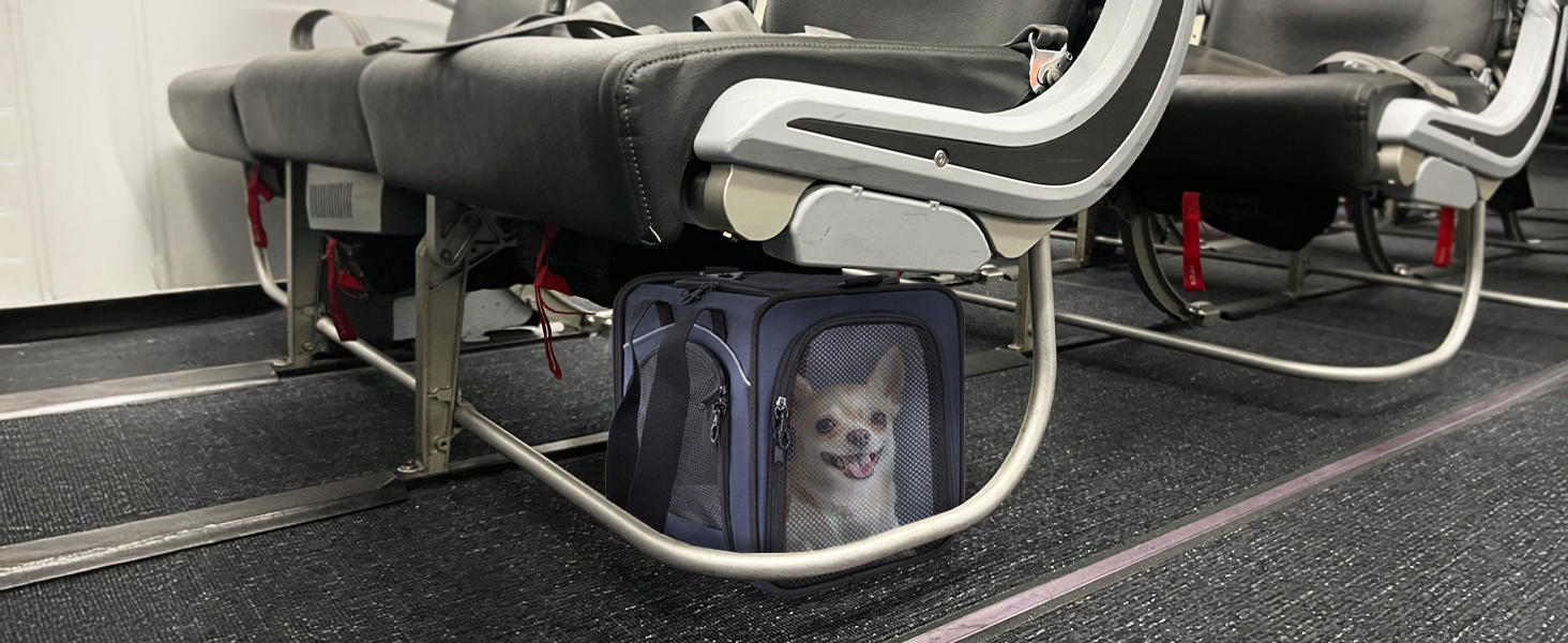 Транспортна сумка Petsfit для котів та собак | Авіапереліт, авто та поїзд | S/Blau