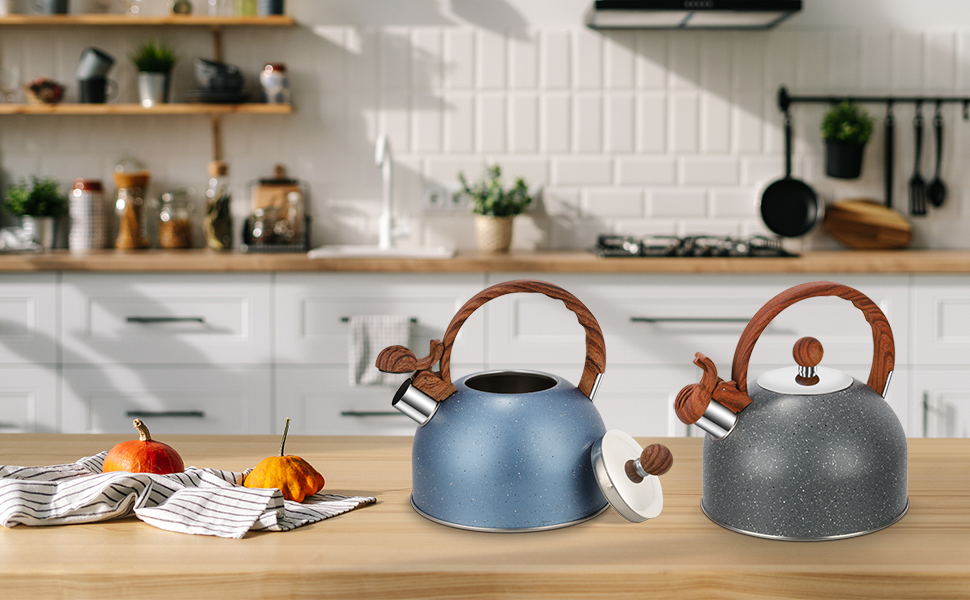 Чайник заварний 2.5L з нержавіючої сталі для всіх плит (індукція), сучасний з дерев'яною ручкою сірого кольору