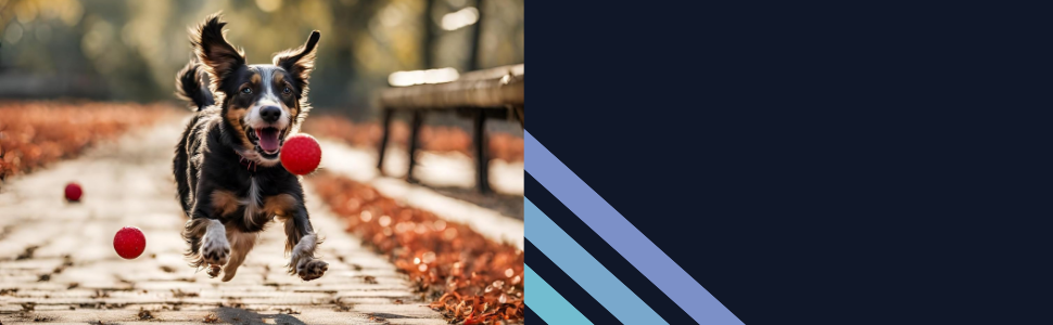 Набір мисок для тварин з нержавіючої сталі PARENCE - 2 шт. - Антиковзкий стійкий підставник - для котів та маленьких собак - діаметр 11 см