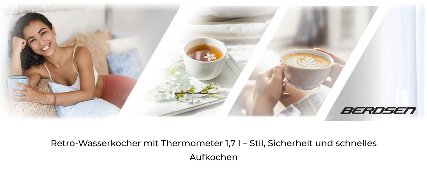 Елегантний чайник Berdsen BD-701 з термометром, 1.7L, чорний