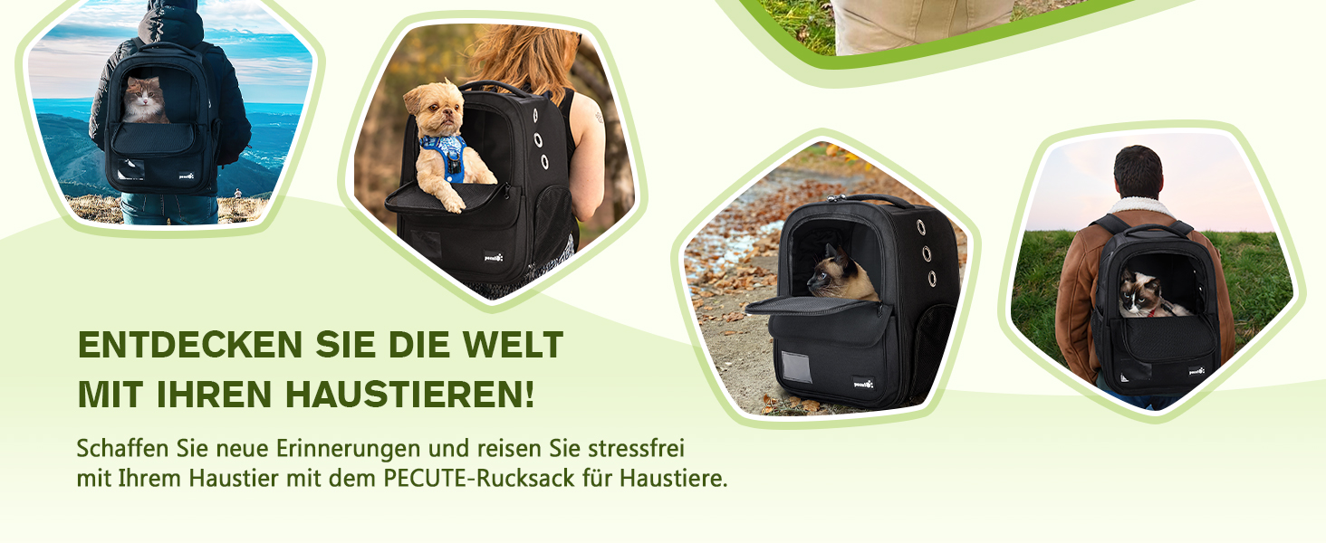 Рюкзак для кота Pecute, 6 кг, для маленьких собак, дихаючий, з безпечним тросом та замком, чорний