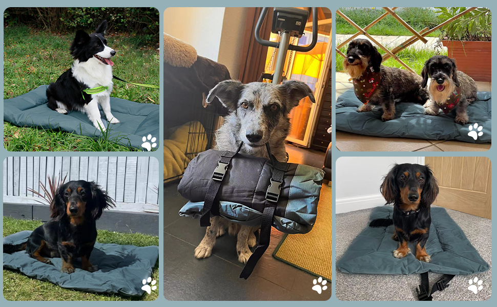 Килимок для собак та котів WESKIFAN: водонепроникний, портативний, 58 x 86 см, сірий