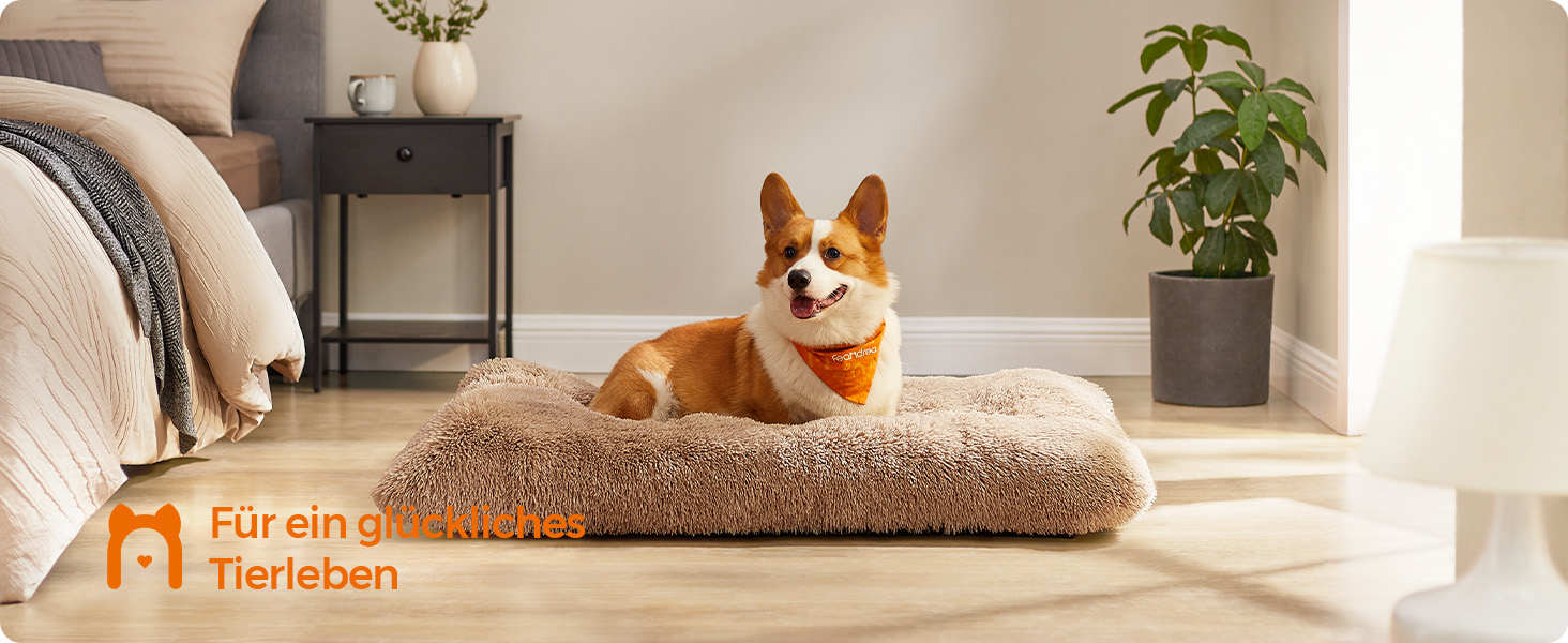 Ліжко для собак Feandrea з м'яким лежаком, 65x45 см, Ombré Grey, машинне прання, багатофункціональне, PGW200G01