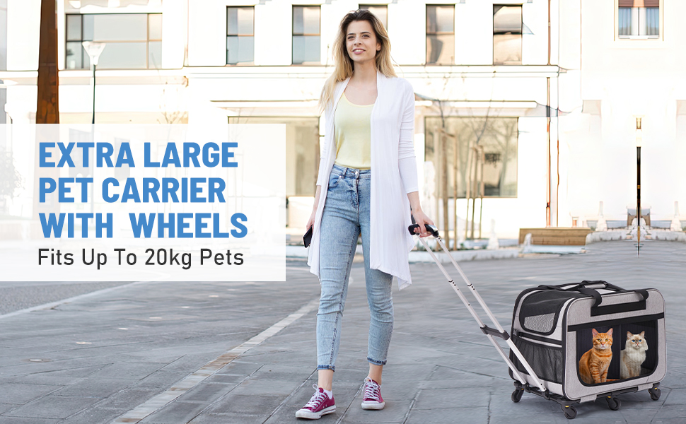 Транспортна переноска для котів на 2 котів, XL, сіра. Зі знімною перегородкою та ручкою. Підходить для котів до 12 кг