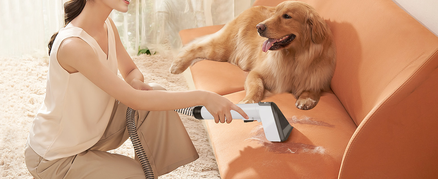 Апарат для чищення м'яких меблів та килимів: волого-пилосос, 450W, з щіткою для шерсті тварин. Підходить для диванів, килимів, автосидінь та сходів (біло-сірий)