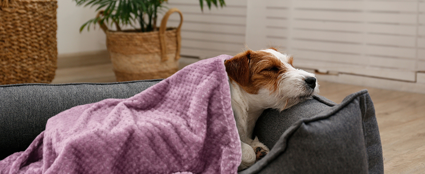 SLSON Деки для собак та котів, м'які, двосторонні, 70x100 см (фіолетовий, чорний, синій)