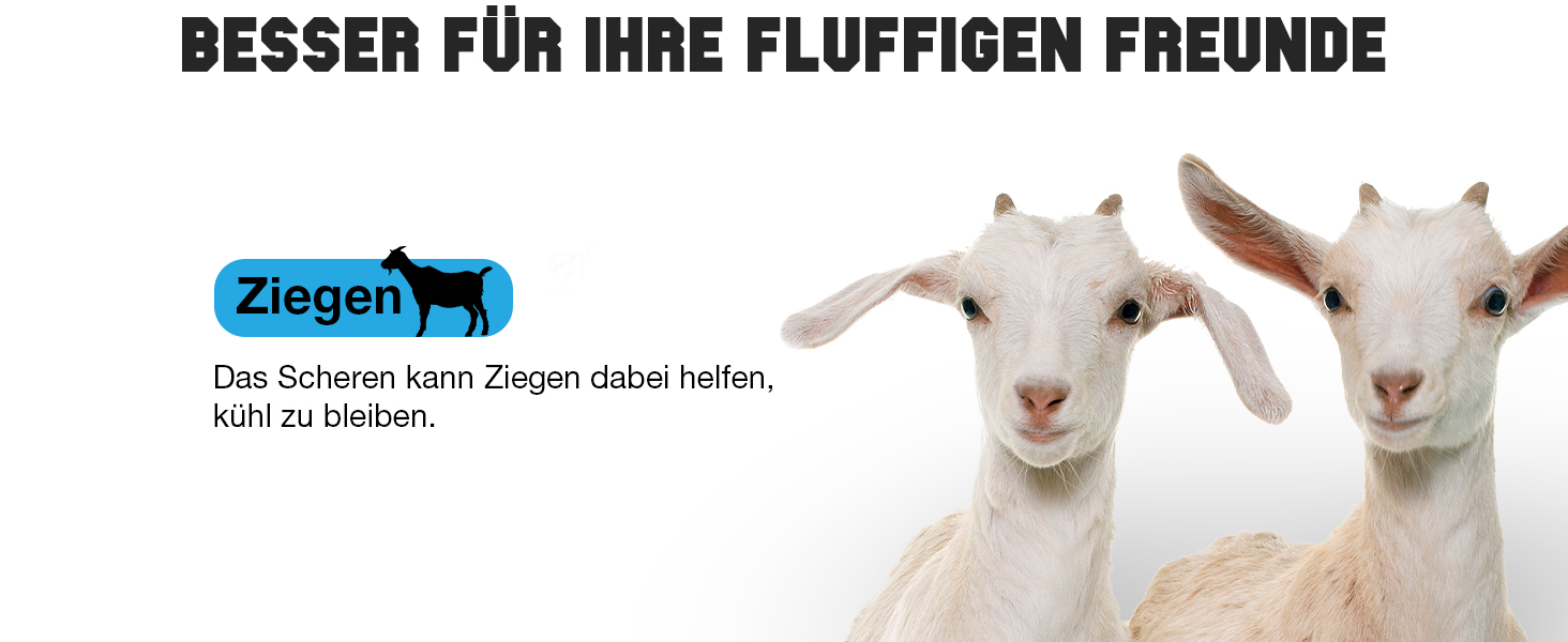 Професійна машинка для стрижки собак, 2 швидкості, ергономічний дизайн, для собак та котів, стрижка густого, довгого та кучерявого хутра, світло-блакитна