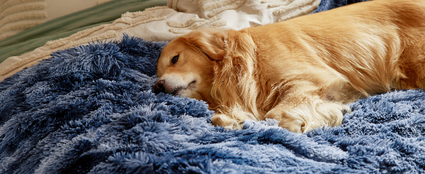 Водонепроникний коврик для собак BEDSURE 100x120 см - м'який, плюшевий, для великих собак та котів, сірий