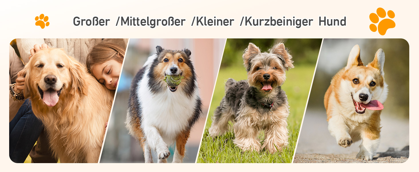 Сходи для собак у машину, складані, з антиковзким покриттям, для середніх та великих собак до 113 кг, 170x44 см