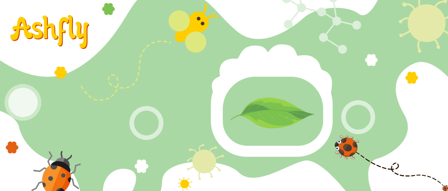 Цифровий мікроскоп Ashfly LCD 500x з дисплеєм 4.3 дюйма, 1080P, USB, 8 LED, сумісний з MacOS/Windows, для дітей та дорослих