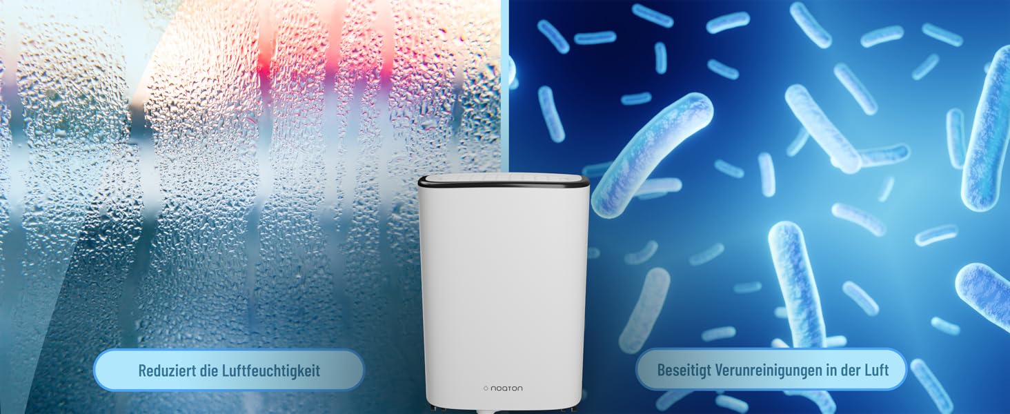 Noaton® DF 4212: Електричний осушувач повітря 13,2 л/24г з відводом, автовимкненням, тихий, для 45 м², таймер, бак 2,1 л, для квартири, підвалу