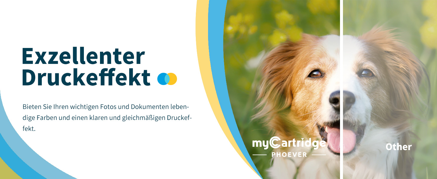 Картриджі MYCARTRIDGE 304XL (чорний та кольоровий) сумісні з принтерами HP Envy 5030, 5010, 5020 та Deskjet 3750, 2630, Multipack (2 шт)