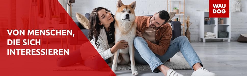 Стильний шкіряний нашийник для собак WAUDOG: для маленьких, середніх та великих порід, 20-25 см, 8 мм, помаранчевий