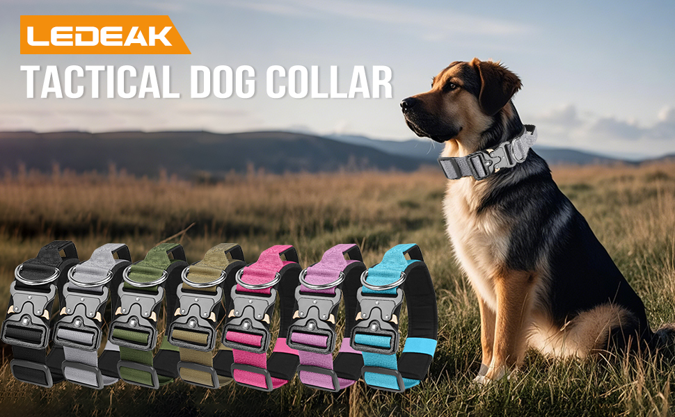 Тактичне обіднє ошейник для собак Ledeak з ручкою, регульований, широке обіднє ошейник з м'якою підкладкою, надійний карабін, для дресирування собак (фіолетовий, рожевий, XL)