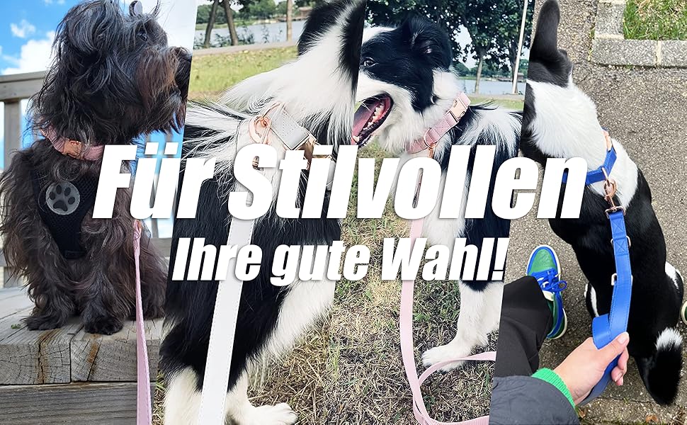 Набір собачий: повід та нашийник з м'якої шкіри (2м) - регульований повід, стильна рожева металева застібка та нейлонові повідки для цуценят, собак маленьких, середніх та великих порід, сірий колір, S (обхват шиї 31-43 см, ширина 2 см), сірий