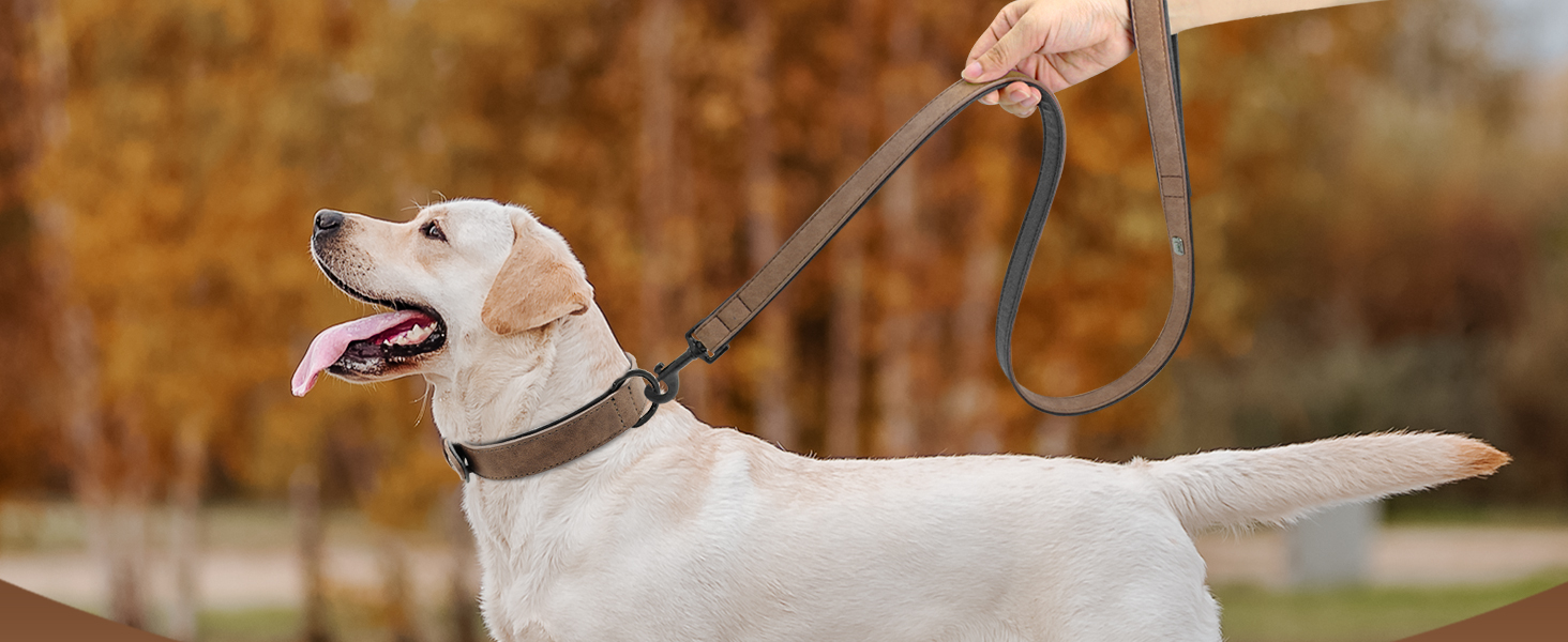 Нашийник для собак Didog з м'якої шкіри, синій, регульований, 33-43 см, 10-20 кг
