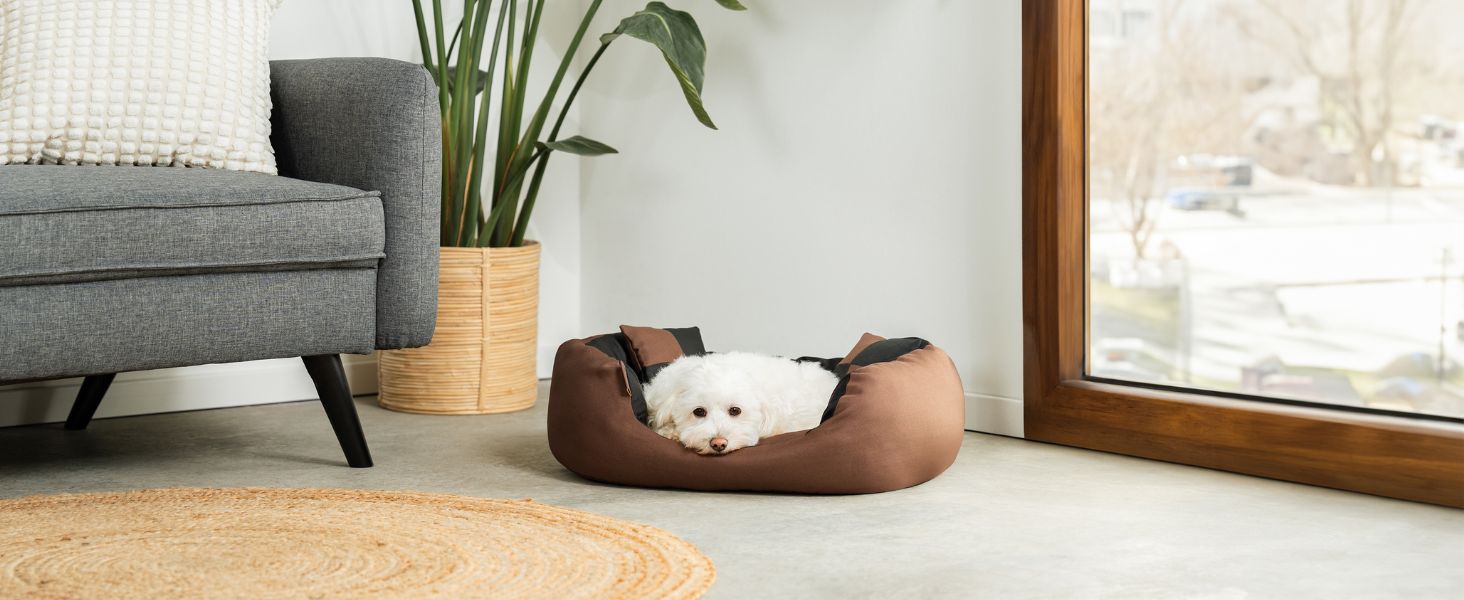 Кіжувалля для собак Lionto 4-в-1 з двостороннім подушкою з міцного оксфорду, 65x50 см, для котів та собак усіх розмірів, з глибоким входом, включає декоративну подушку, водовідштовхувальне, коричнево-бежеве