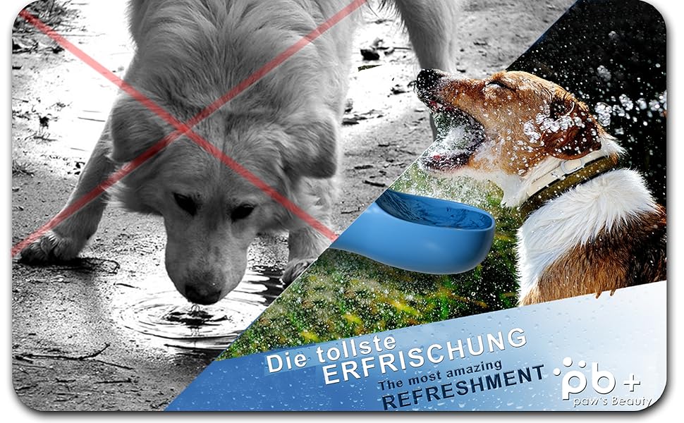 Набір з 2 шт. туристичних пляшок для собак з щіткою | Пляшка для собак 550 мл, витокозахисна, преміум-якість