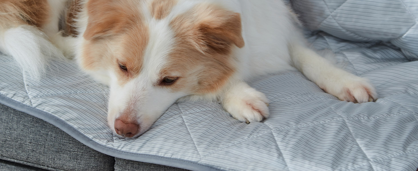 Килимок для собак та котів, ультрам'який, водонепроникний, 75x60 см, миючий, двосторонній (охолоджуючий та зігріваючий) для цілорічного комфорту, сірий та білий