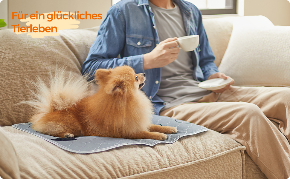 Підстилка для собак Feandrea, 2 шт., 122 x 91 см, XL, сіра, витривала, не слизька, супер вбираюча, PTD036G01