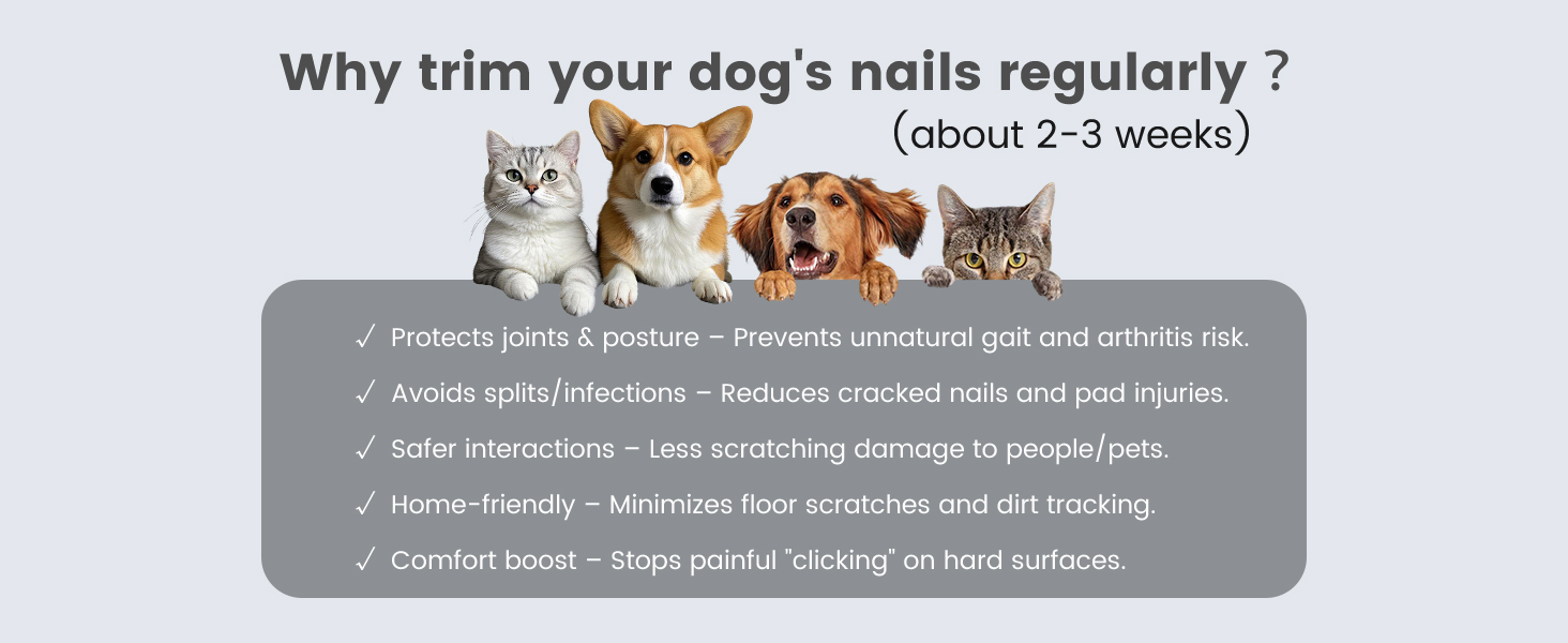 Триммер для стрижки кігтів та стрижка кігтів для собак 2 в 1, безшумний, акумуляторний, електричний, для великих, середніх та маленьких собак, білий