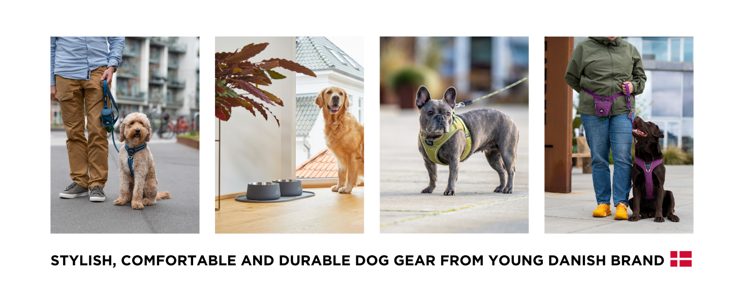 Нашийник для собак DOG Copenhagen Comfort Walk Air 3.0, Wild Rose, S