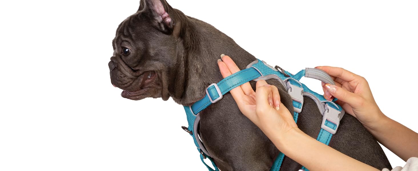 Шлейка безпеки для собак Huntboo, антизламна, зі світловідбиваючими елементами та м'якою ручкою, регульована жилетка для маленьких собак, для прогулянок та тренувань (S, Синій, X-Small, упаковка з 1)