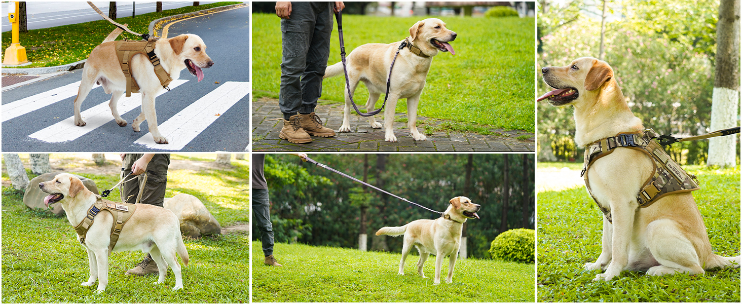 Тактична собача повід Joytale, 1.2м-1.8м, еластична, з двома зручними ручками, автофіксатор, повід без ривка для великих собак, сірий