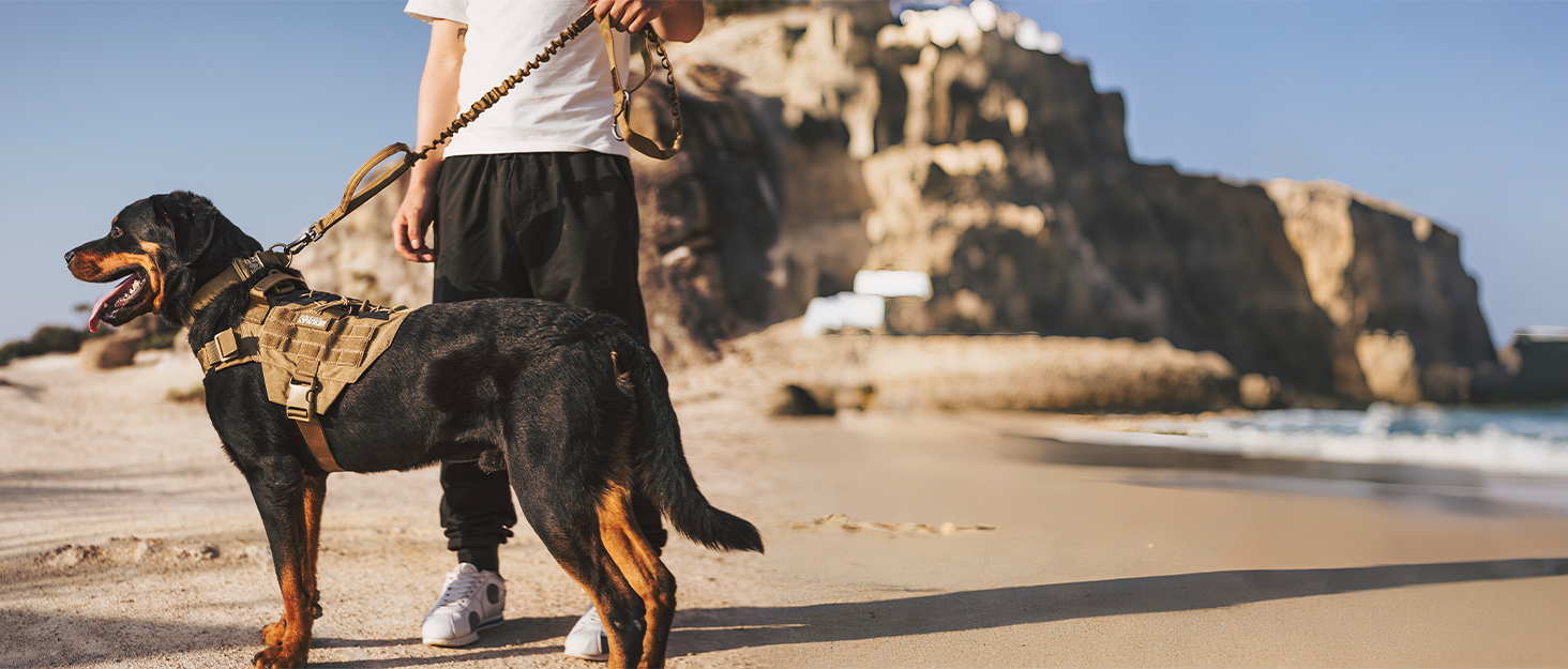 Рюкзак для собак RGN-L: місткий, для подорожей, кемпінгу та хандрингу. Підходить для середніх та великих собак. Військовий зелений.