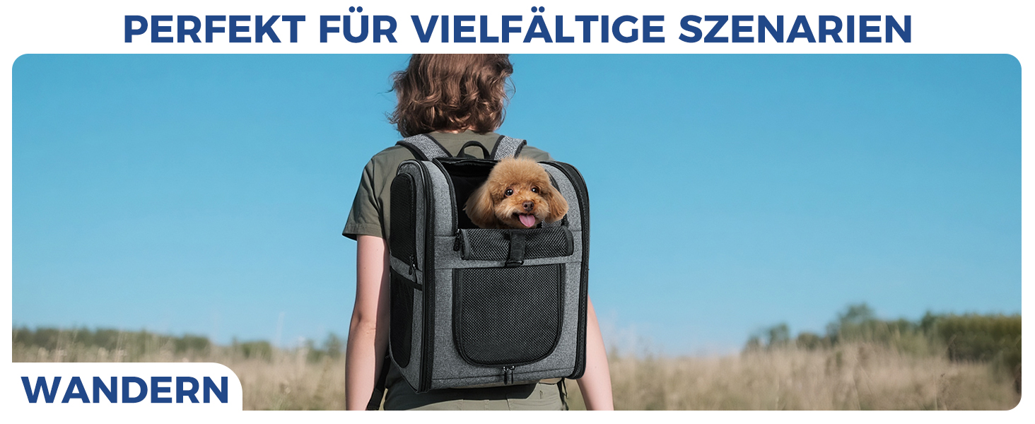 Рюкзак для собак та котів Apollo Walker - для малих тварин (2-15 кг), з підтримуючим каркасом, дихаючий, сірий - для походів, подорожей, активного відпочинку