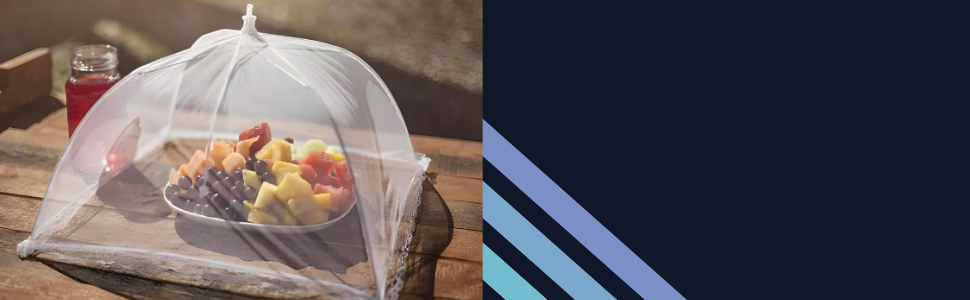 Набір мисок для тварин з нержавіючої сталі PARENCE - 2 шт. - Антиковзкий стійкий підставник - для котів та маленьких собак - діаметр 11 см