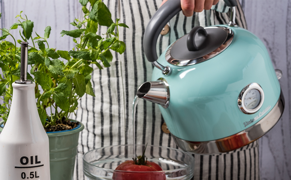 Електричний чайник Vintage Cuisine з термометром (м'ятний колір)