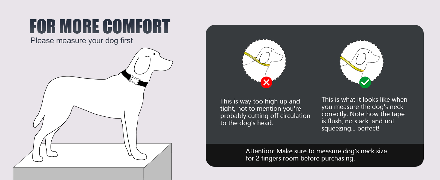 Відбиваючий нашийник для собак Didog з пряжкою, регульований, м'який неопрен, з підкладкою, нейлон, для маленьких, середніх та великих собак, зелений, L: обхват шиї 33-56 см