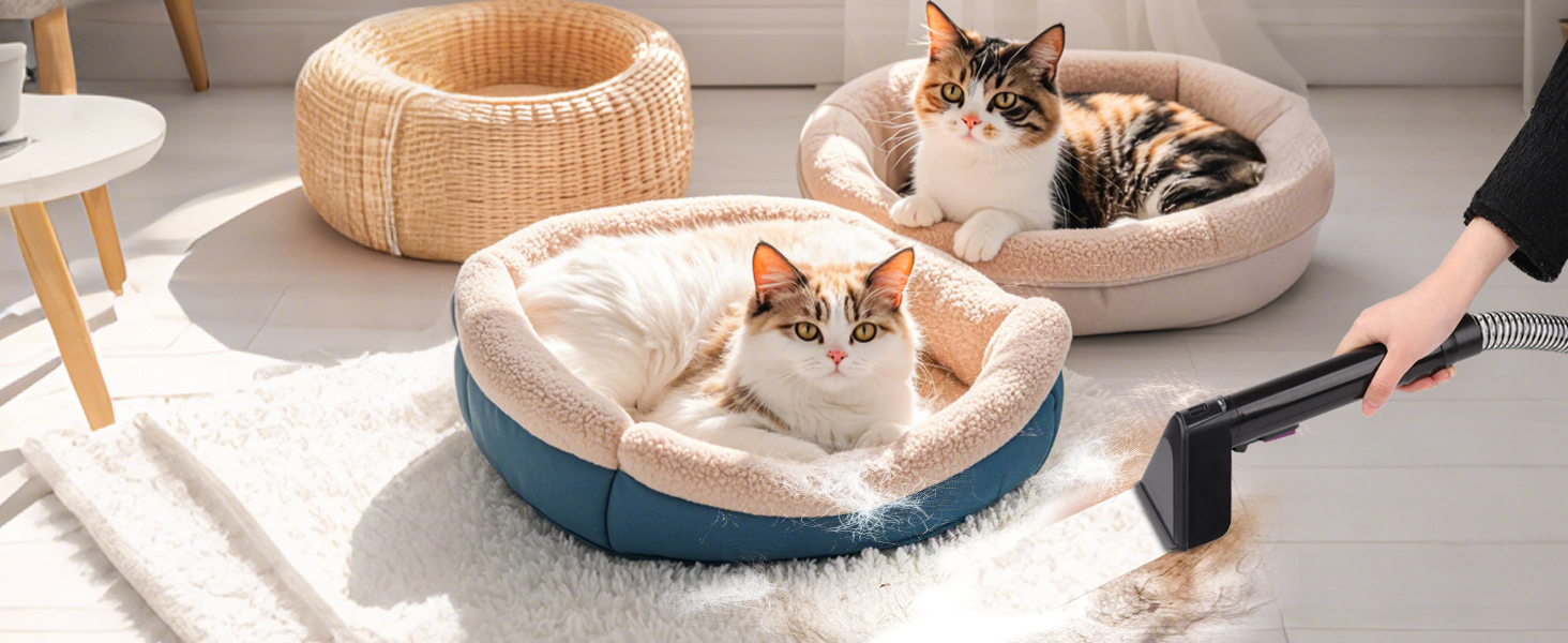 Пилосос для миття килимів та м'яких меблів з насадкою для шерсті тварин, 450W, для дому та автомобіля