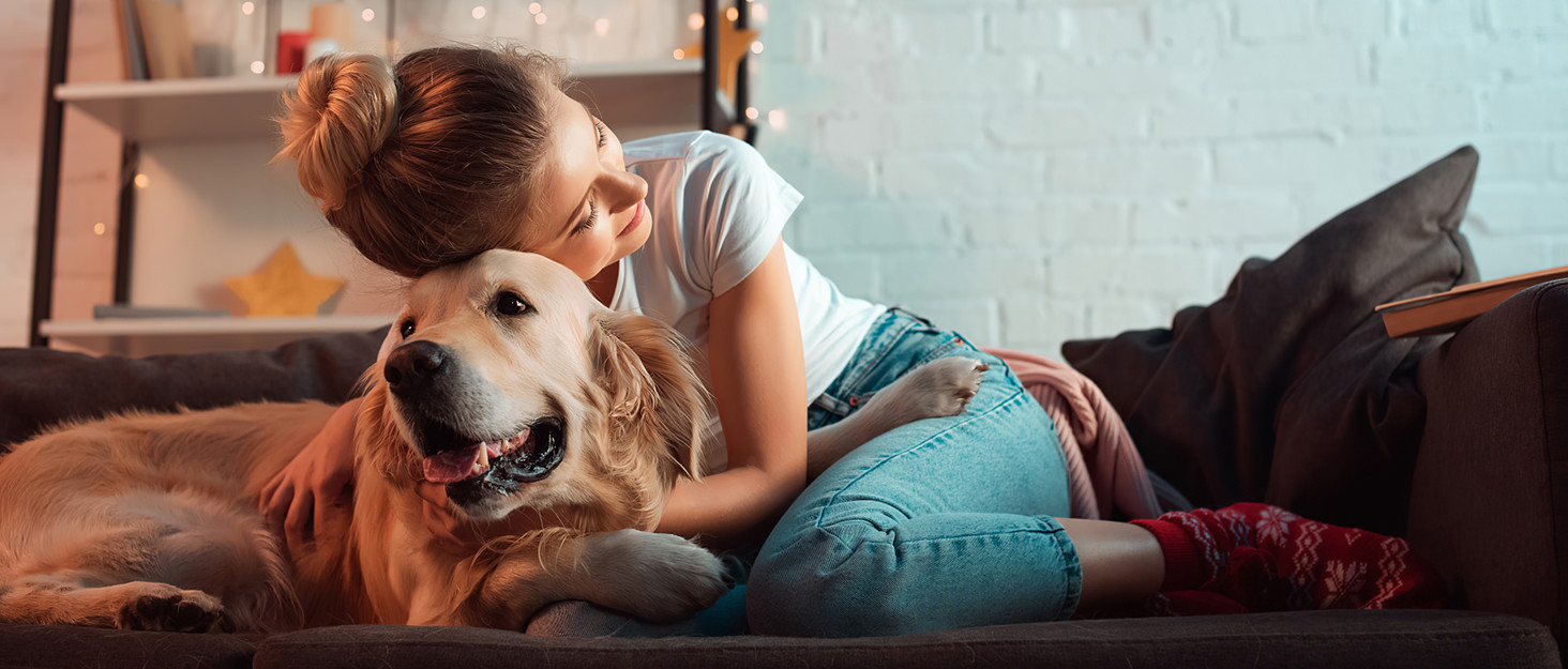 Розкішний диван для котів Katzensofa, велике котяче крісло з подушкою, підняте ліжко для котів і малих собак, 40 см, бежевий