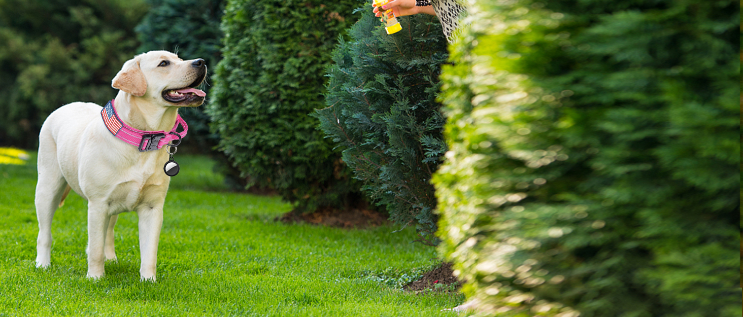 Тактична повідок для собак AUBELL, міцна, світловідбиваюча, без натягу, з амортизатором, для середніх та великих собак, з м'якою ручкою, авторемнем безпеки, поворот на 360°, 1.2-1.8 м, зелена