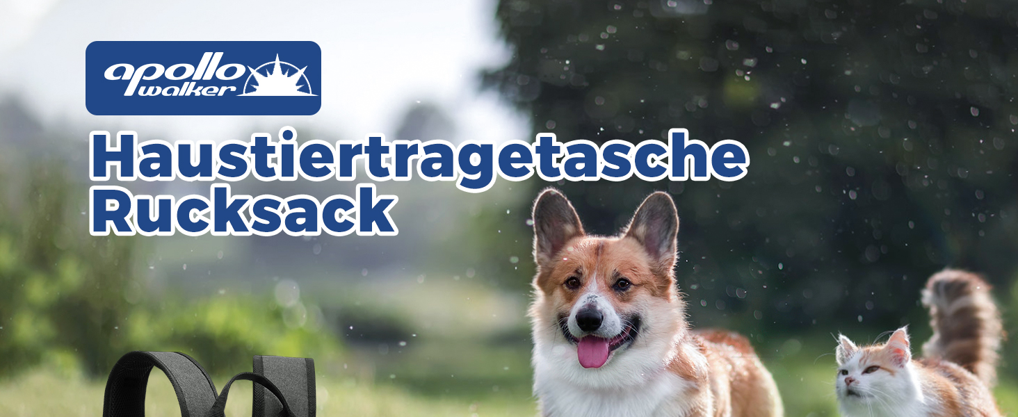 Рюкзак для собак та котів Apollo Walker - зручний та дихаючий, для малих тварин (2-15 кг), чорний